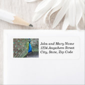 Retouradres Blue Peacock Plumage Etiket (Insitu)