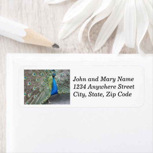 Retouradres Blue Peacock Plumage Etiket (Insitu)