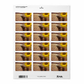 Retouradres Etiketten Zonnebloem Beer (Full Sheet)