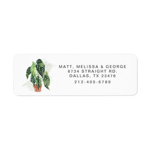 Retouradres groene kamerplant etiket (Voorkant)