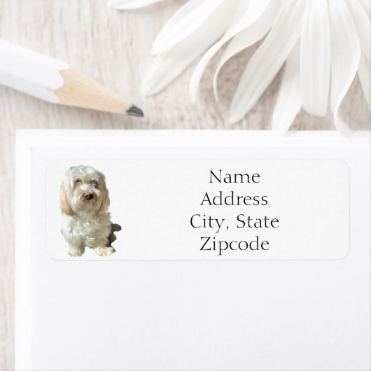 Retouradres label Havanese Dog (Insitu)