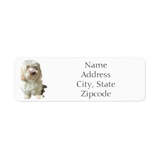 Retouradres label Havanese Dog (Voorkant)