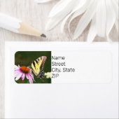 Retouradres Label Tijger Swallowtail Butterfly. (Insitu)
