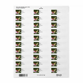 Retouradres Label Tijger Swallowtail Butterfly. (Full Sheet)