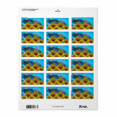 Retouradres Labels Sunflower Dolphin (Full Sheet)