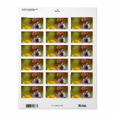 Retouradres Labels Sunflower — Veternarian (Full Sheet)