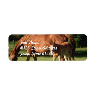 Retouradres postlabel paardenfamilie etiket