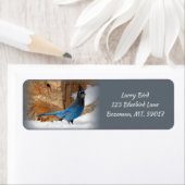 Retouradres verkoper etiket (Insitu)