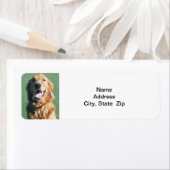 Retouradreslabel, Golden Retriever Etiket (Insitu)