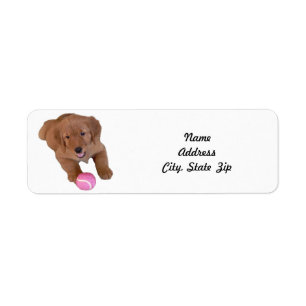Retouradreslabel, Golden Retriever Puppy Etiket