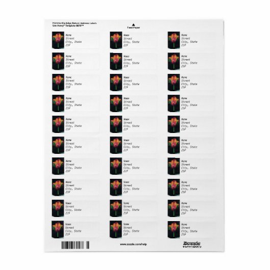 Retouradreslabel - Rainbow Parrot Tulip Etiket (Full Sheet)