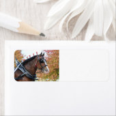 Retouradreslabel van het Clydesdale paard Etiket (Insitu)
