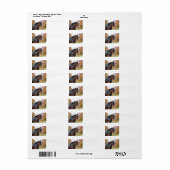Retouradreslabel van het Clydesdale paard Etiket (Full Sheet)
