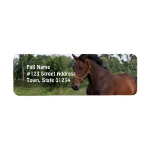 Retouradreslabel voor eBay Horse Design Etiket