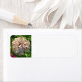 Retouradreslabel Zinnia Etiket (Insitu)