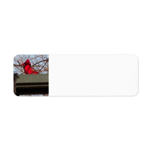 retouradreslabels Cardina; Etiket (Voorkant)