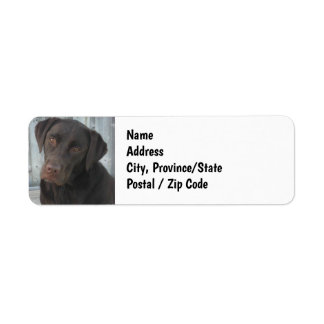 Retouradreslabels - Cute Chocolate Lab Dog Etiket