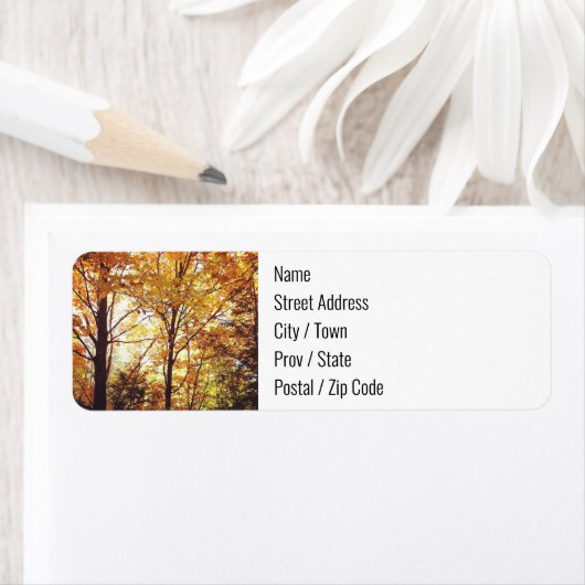 Retouradreslabels - Herfst bos Etiket (Insitu)