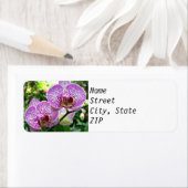 Retouradreslabels - Paarse gevlekte orchideeën. Etiket (Insitu)