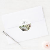 Retouradreslabels: Royal Wedding Poppies Ronde Sticker (Envelop)