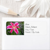 Retouradreslabels - Stargazer Lily Etiket (Insitu)
