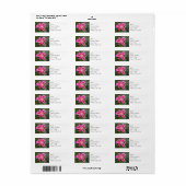 Retouradreslabels - Stargazer Lily Etiket (Full Sheet)