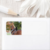 Retouradreslabels voor Belgische Draft Horse Etiket (Insitu)