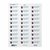 Retouradreslabels voor katten etiket (Full Sheet)