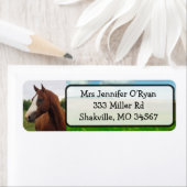  retouradreslabels voor paarden etiket (Insitu)