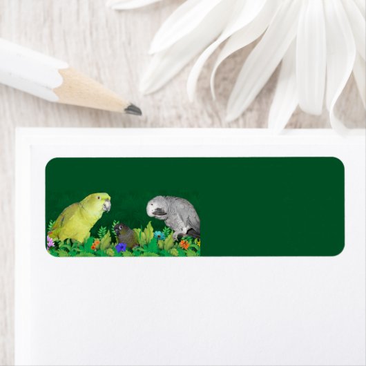 Retouradreslabels voor rotten etiket (Insitu)