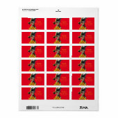 Retouradreslabels zonnebloempitten etiket (Full Sheet)