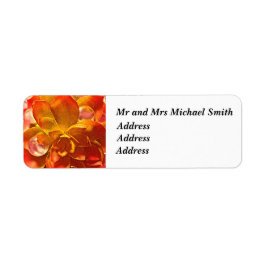 Retouradressetiket Fiery Flower Etiket