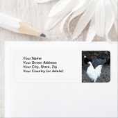 Retouradressetiket: Kippen Etiket (Insitu)