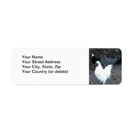 Retouradressetiket: Kippen Etiket (Voorkant)