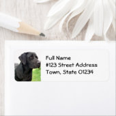 Retouradressetiket van Black Lab Etiket (Insitu)