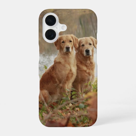 Retriever Buddies iPhone 16 Hoesje (Achterkant)