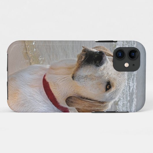 Retriever Eyes Case-Mate iPhone Case (Achterkant (horizontaal))
