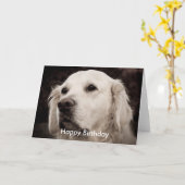 Retriever - Gouden Kaart (Gele Bloem)