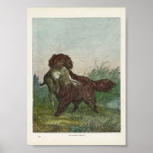 Retriever Hunting Dog Poster (Voorkant)