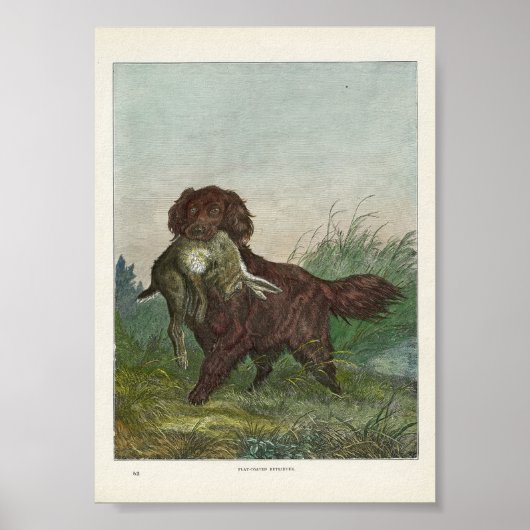 Retriever Hunting Dog Poster (Voorkant)