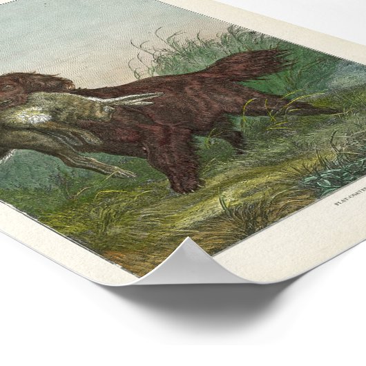Retriever Hunting Dog Poster (Hoek)