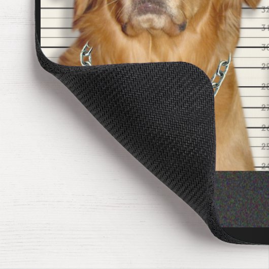 Retriever Mok Muismat (Hoek)