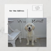 Retriever puppy We hebben het nieuwe adres verplaa Aankondigingskaart (Voorkant / Achterkant)