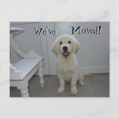 Retriever puppy We hebben het nieuwe adres verplaa Aankondigingskaart (Voorkant)