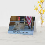 RETRIEVER ZEGT DAT ZE GOED KUNNEN KRIJGEN OP 'GELI KAART (Gele Bloem)