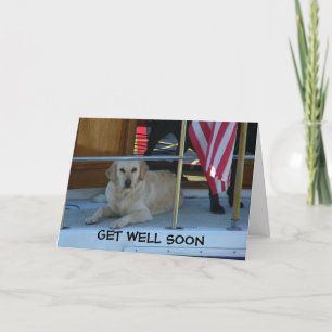 RETRIEVER ZEGT SNEL BETER TE WORDEN KAART