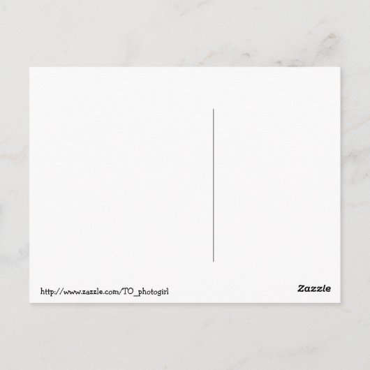 Retro 1950s Houseechtgenote "No Cure for Stupid" Briefkaart (Achterkant)