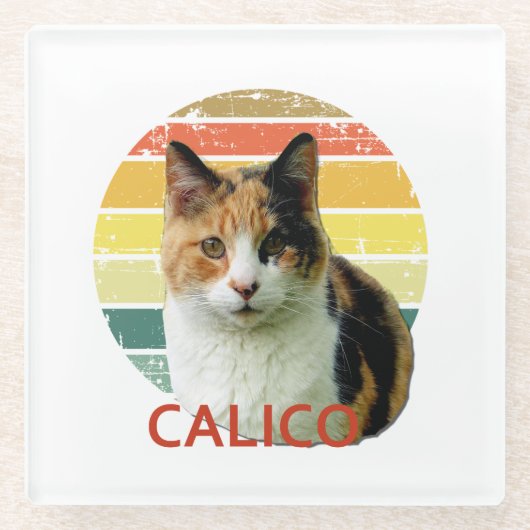 Retro 1980 Faded Sunset Calico Moggy Cat Art    Glazen Onderzetter (Voorkant)