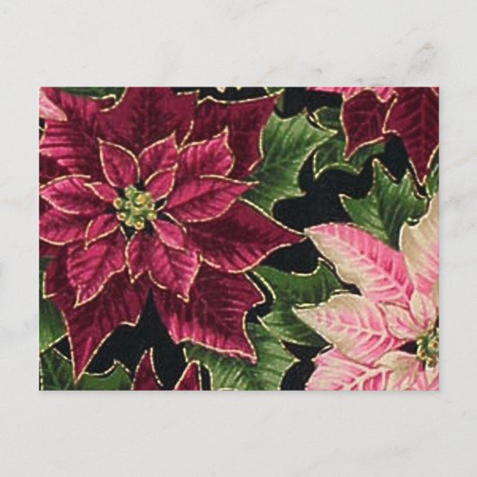 Retro 50s Poinsettia Burgundy Pink Briefkaart (Voorkant)