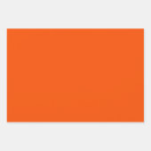 Retro 70s Flowers Oranje en Brown Floral Pattern Inpakpapier Vel (Voorkant 3)